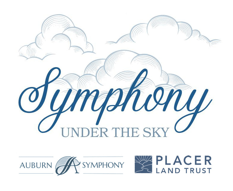 Symphony Under the Sky Picnic Boxes